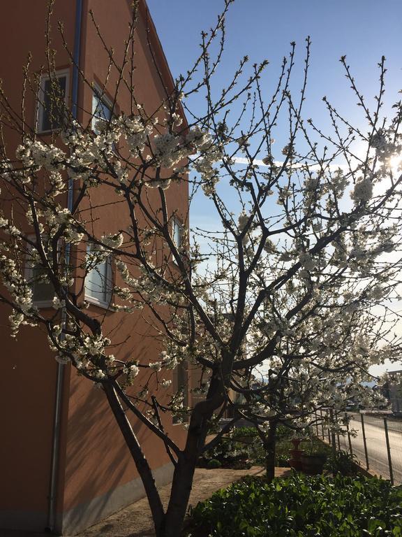 Apartment Nina Zadar Zewnętrze zdjęcie